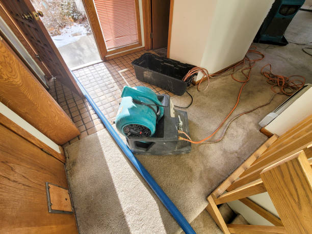  Watervliet, MI Water damage restoration Pros
