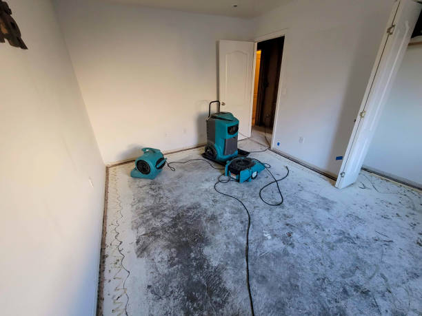 Best 24-hour water damage restoration  in Watervliet, MI