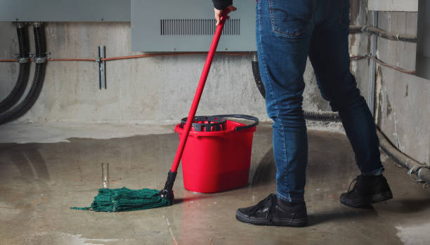 Best Local water damage restoration  in Watervliet, MI