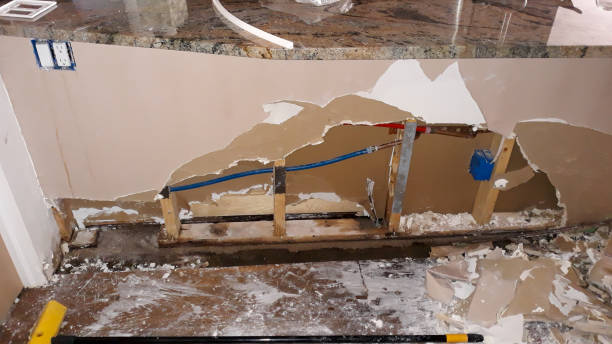 Best Commercial water damage restoration  in Watervliet, MI