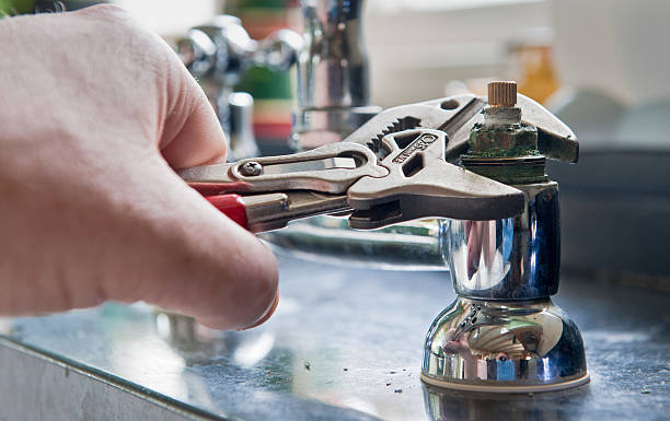 Best Professional water damage repair  in Watervliet, MI