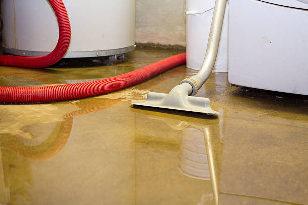 Best Flood restoration services  in Watervliet, MI