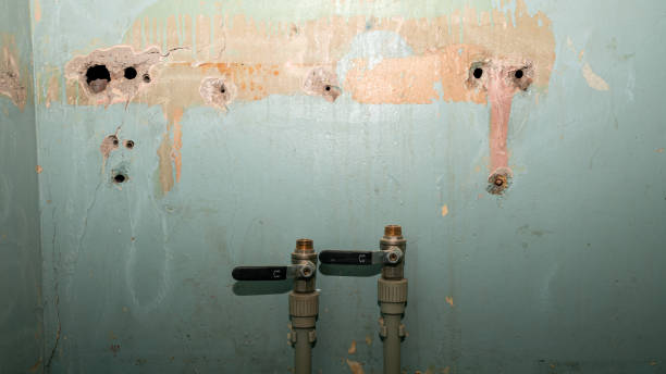 Best Fire Damage Restoration  in Watervliet, MI