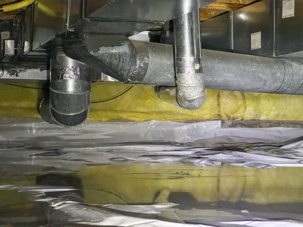 Best Flood restoration services  in Watervliet, MI