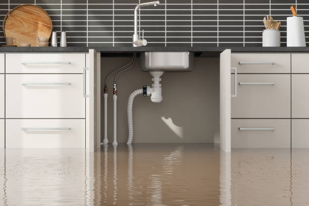 Best Basement water damage restoration  in Watervliet, MI