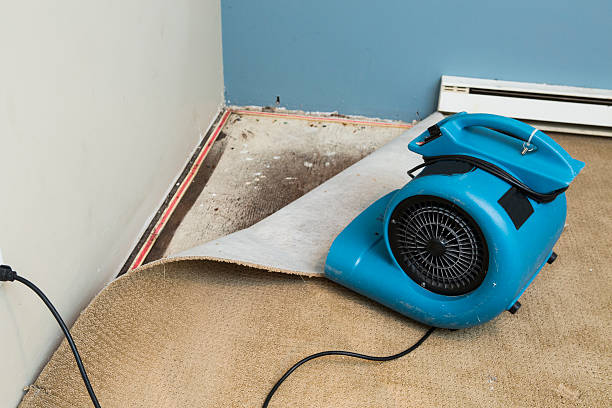 Best Ceiling water damage repair  in Watervliet, MI