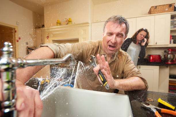 Best Water damage restoration near me  in Watervliet, MI